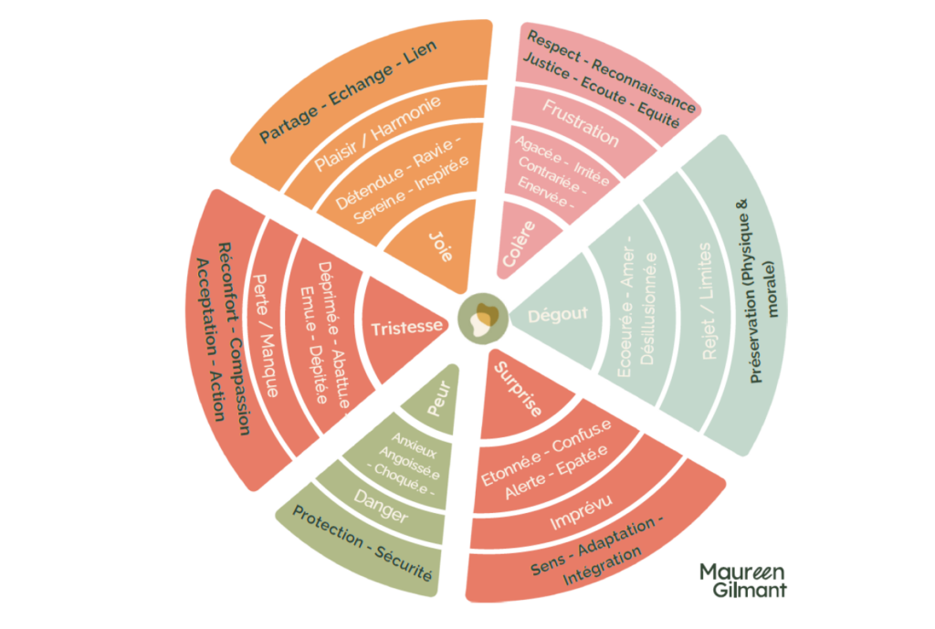 Roue des émotions et besoins 